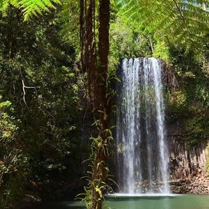 Meet your Posher, Jacqueline